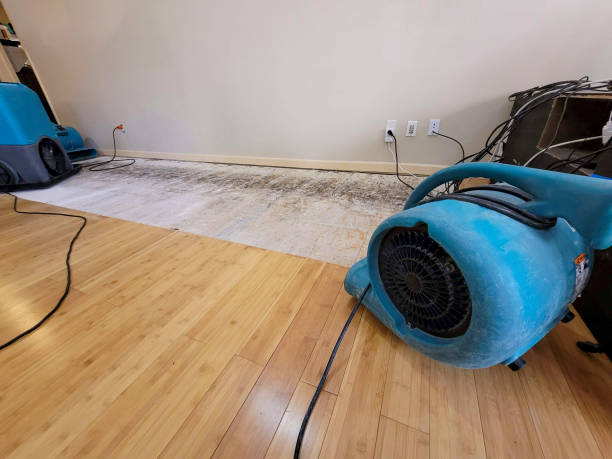 Professional Water Removal technician working in Riesel, TX